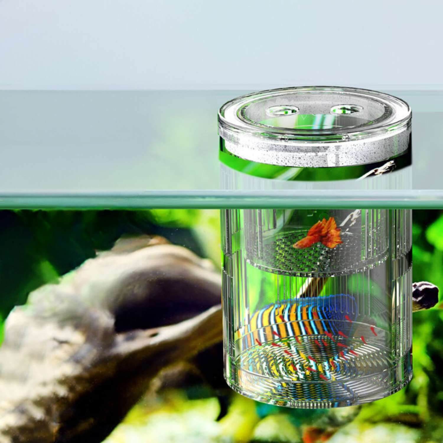 Acryl kweekdoos geinstalleerd in aquarium